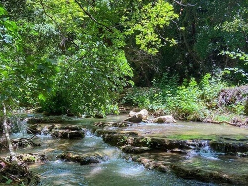 טיולי קלאב קאר נחל כזיב